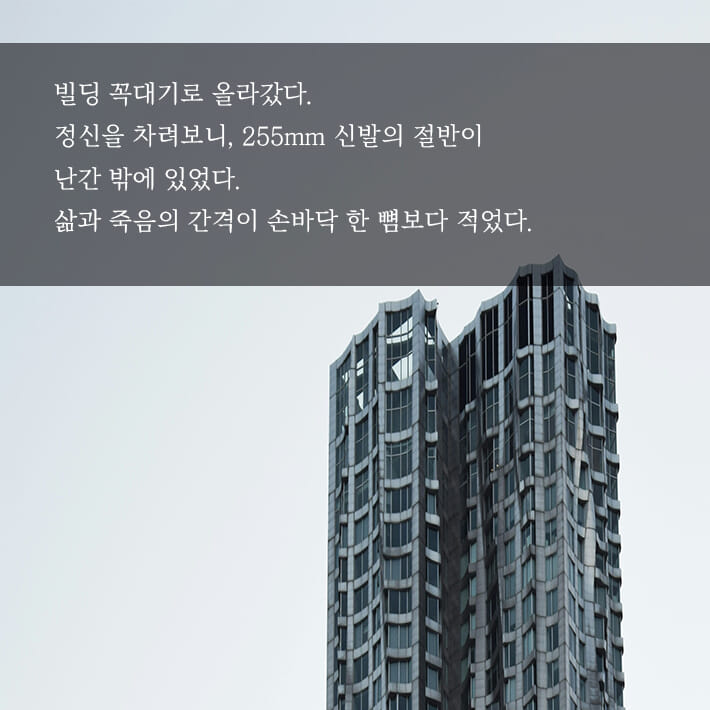 카드뉴스