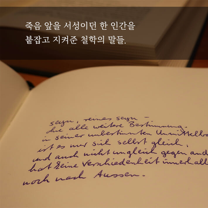카드뉴스