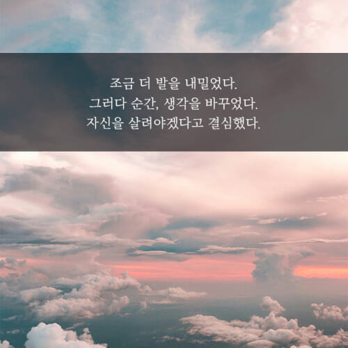 카드뉴스