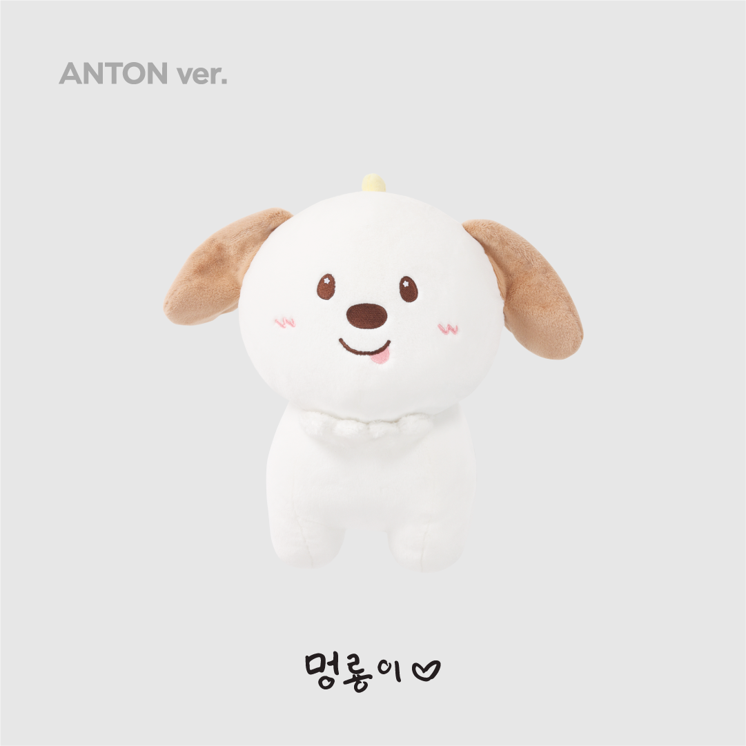 2024 RIIZE FANCON 'RIIZING DAY FINALE' 2nd MD] 40CM DOLL