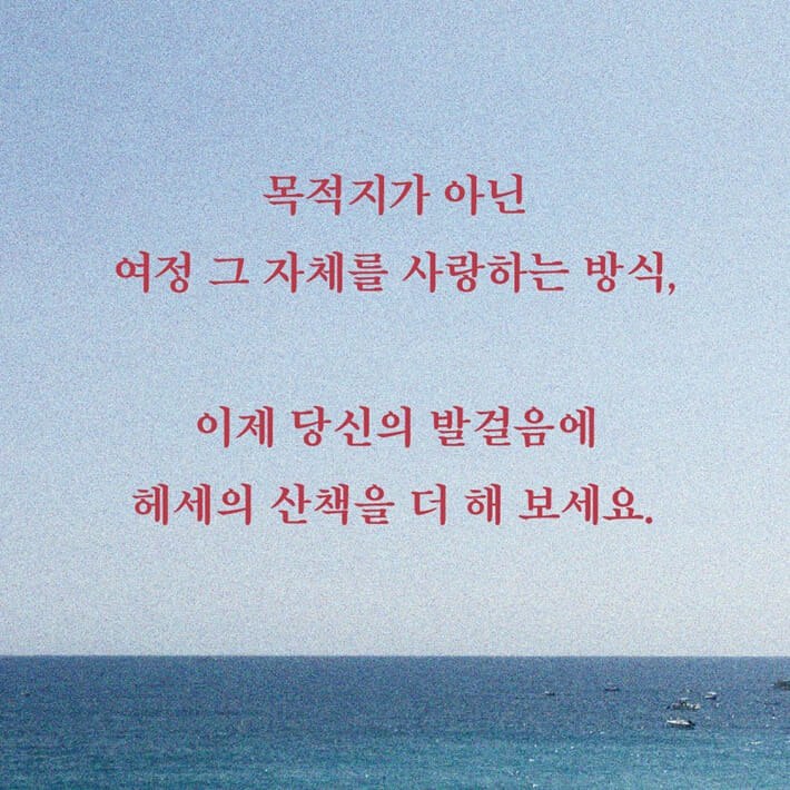 카드뉴스8