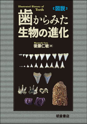 圖說 齒からみた生物の進化