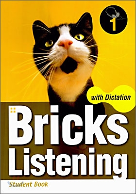 Bricks Listening with Dictation 1