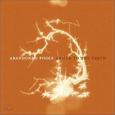 Abandoned Pools - Armed to the Teeth