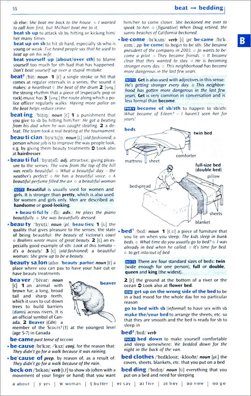 The Oxford ESL Dictionary with Genie CD-ROM