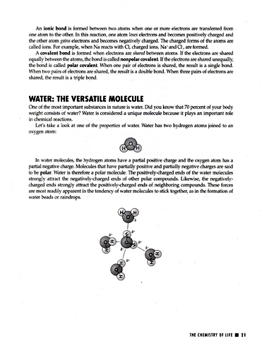 Cracking the AP Biology, 2006-2007