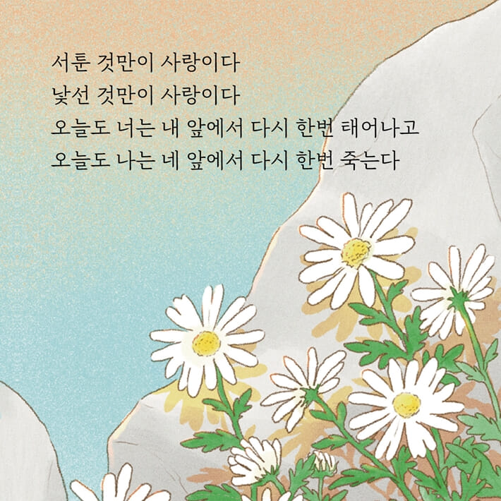 카드뉴스2
