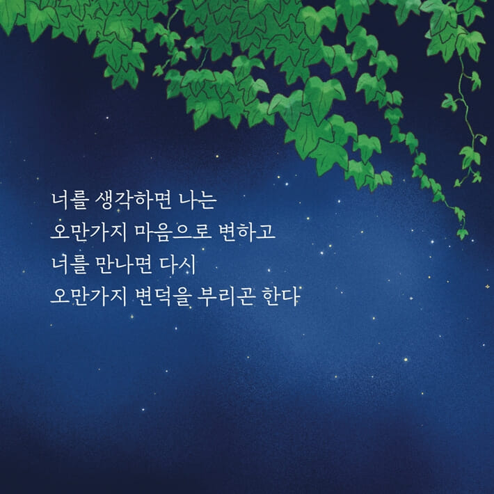 카드뉴스4