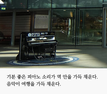 카드뉴스