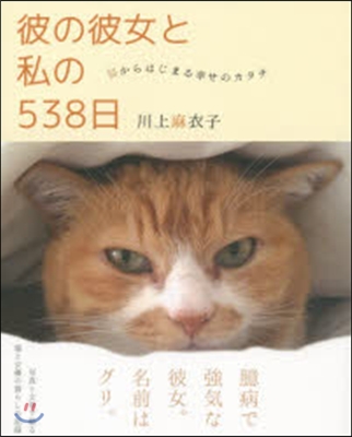 彼の彼女と私の538日~猫からはじまる幸