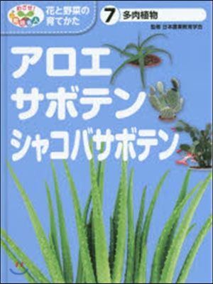 多肉植物 アロエ.サボテン.シャコバサボ