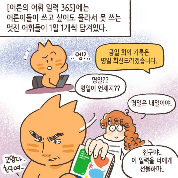 카드뉴스9