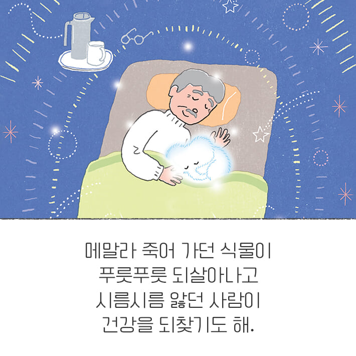 달코끼리 - 예스24