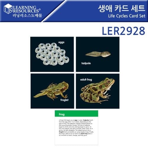 문구도매 러닝리소스 생애 카드 세트 LER2928