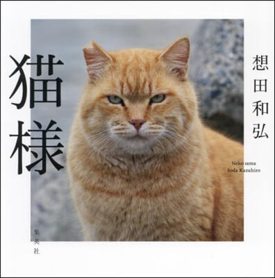 猫樣