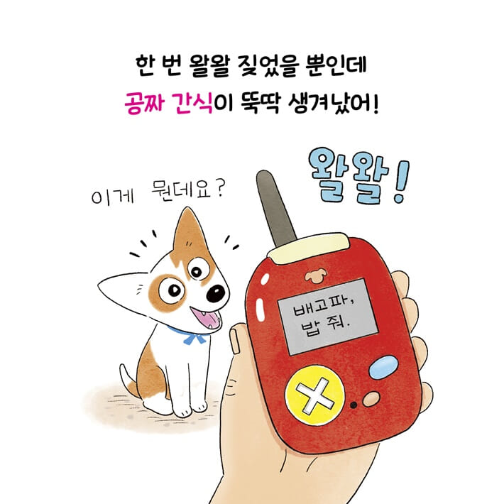 카드뉴스2