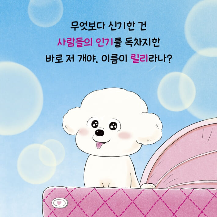 카드뉴스4