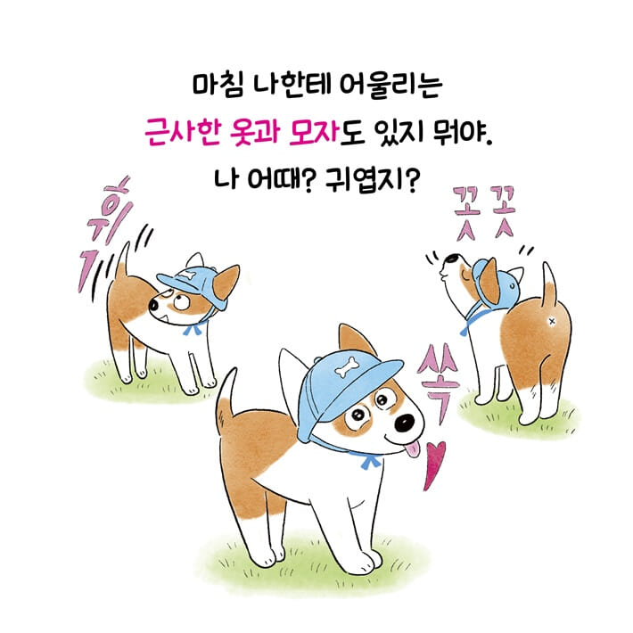 카드뉴스6