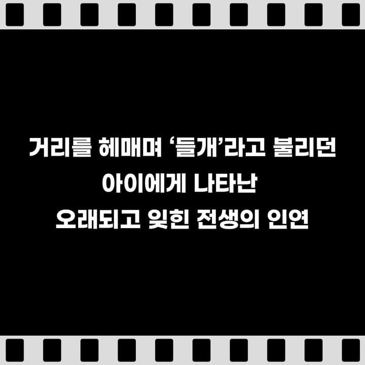 카드뉴스5