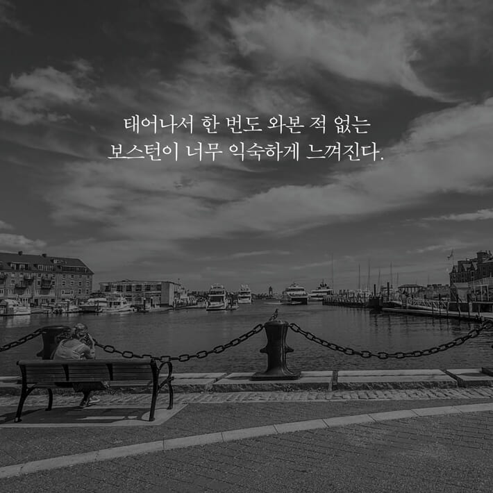 카드뉴스2