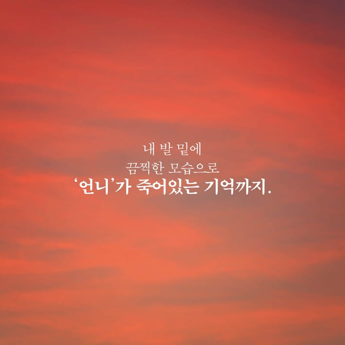 카드뉴스6