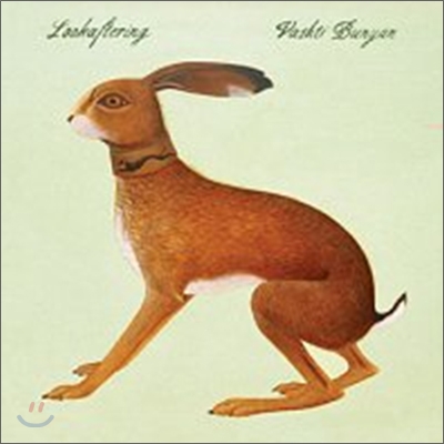 Vashti Bunyan - Lookaftering