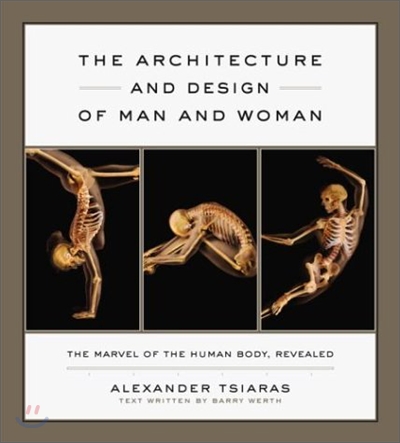 The Architecture &amp; Design of Man and Woman