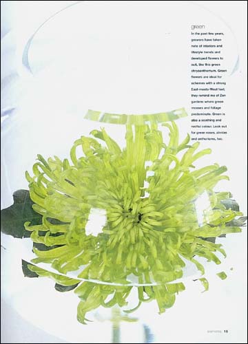 Jane Packer : Flowers Design Philosophy