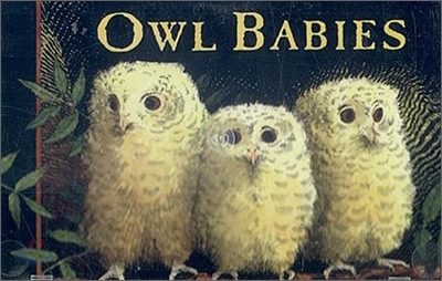 Owl Babies (Tape for Board Book)