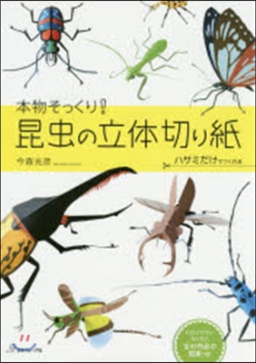 本物そっくり!昆蟲の立體切り紙