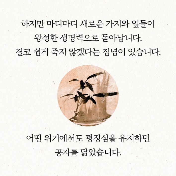 카드뉴스8