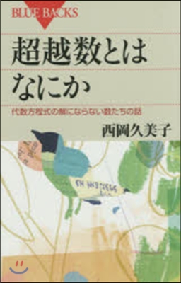 超越數とはなにか 代數方程式の解にならな