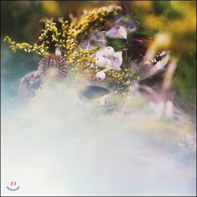 bEEdEEgEE (비디지) - SUM/ONE [LP]