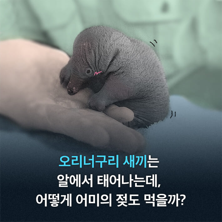 카드뉴스1