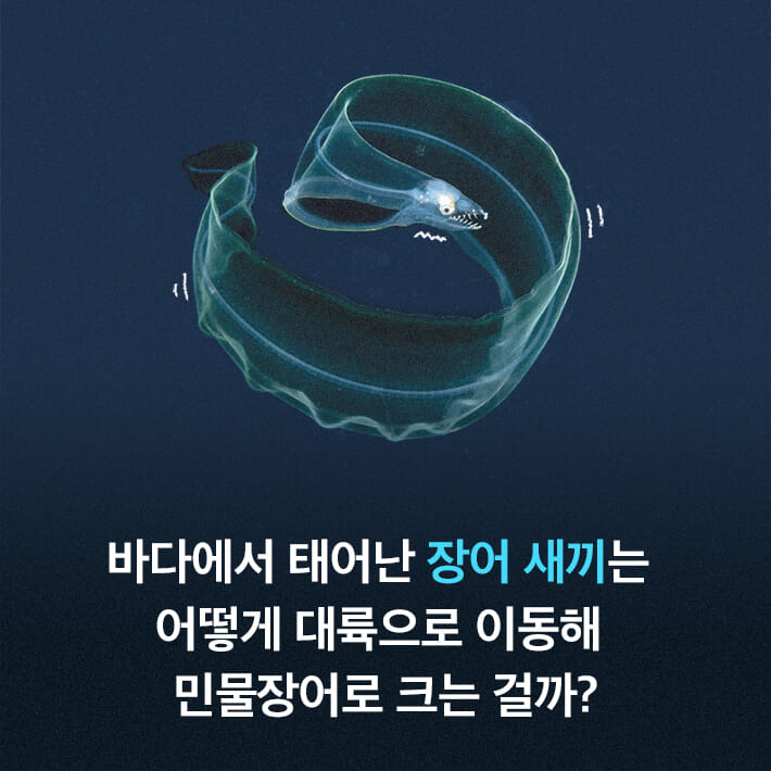카드뉴스2