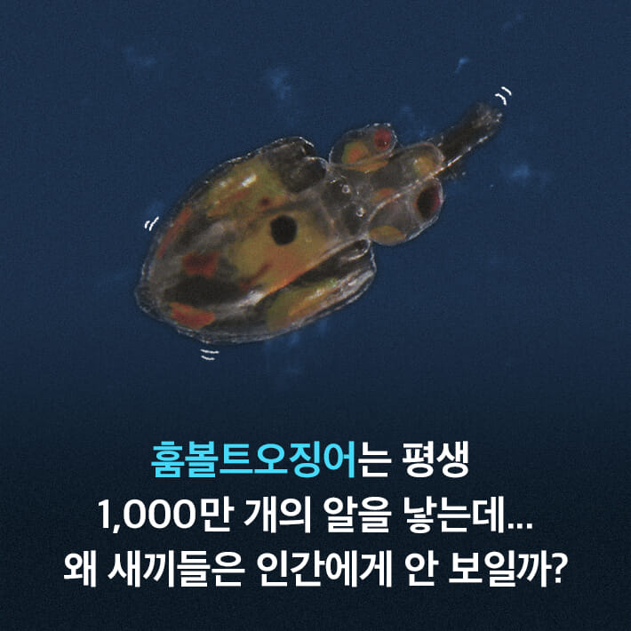 카드뉴스3