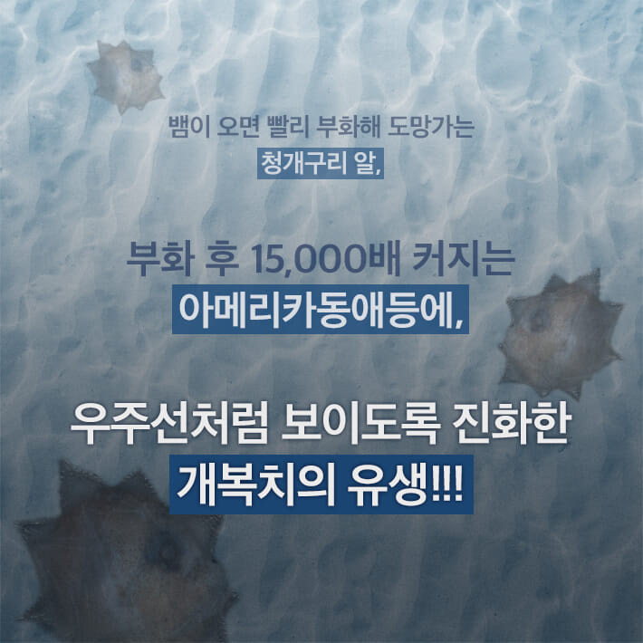 카드뉴스4