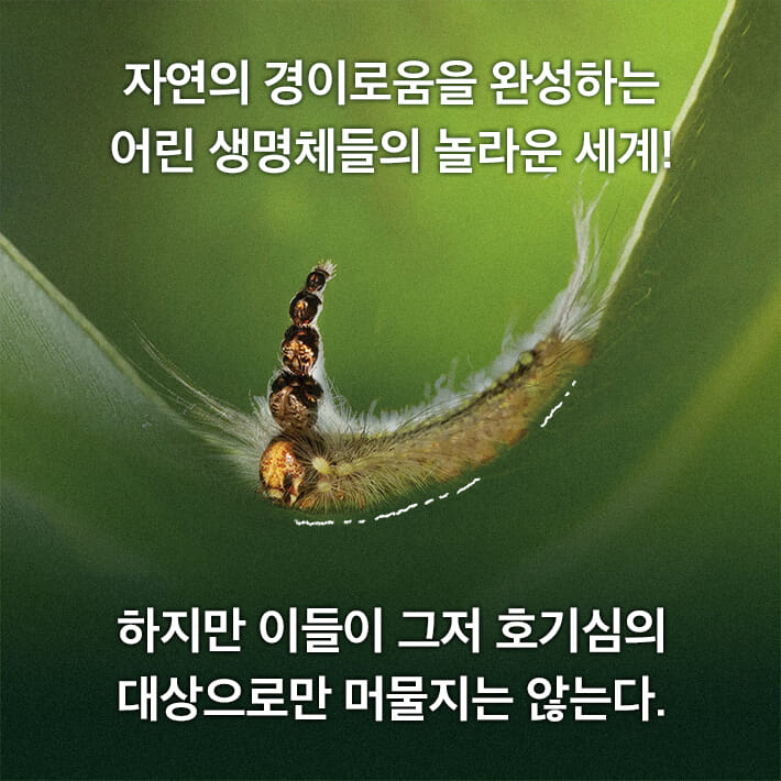 카드뉴스5