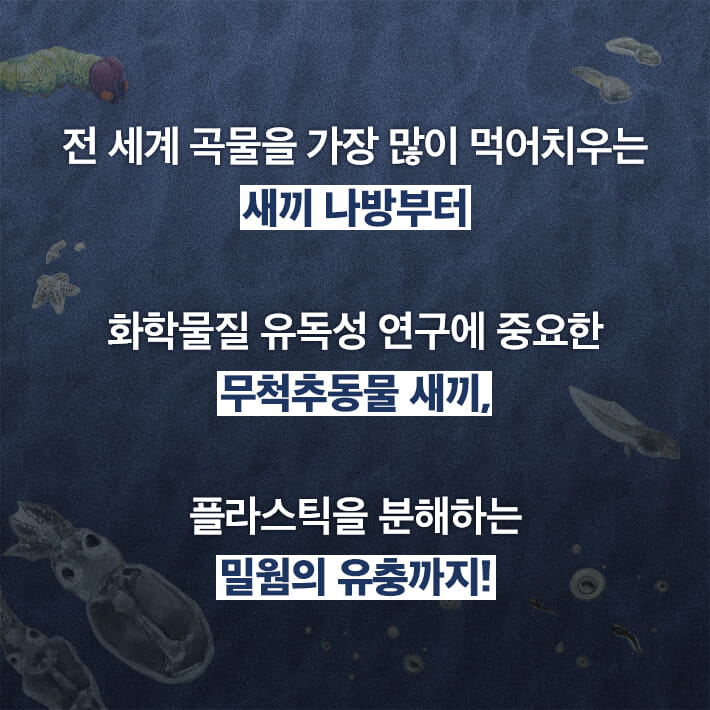 카드뉴스6