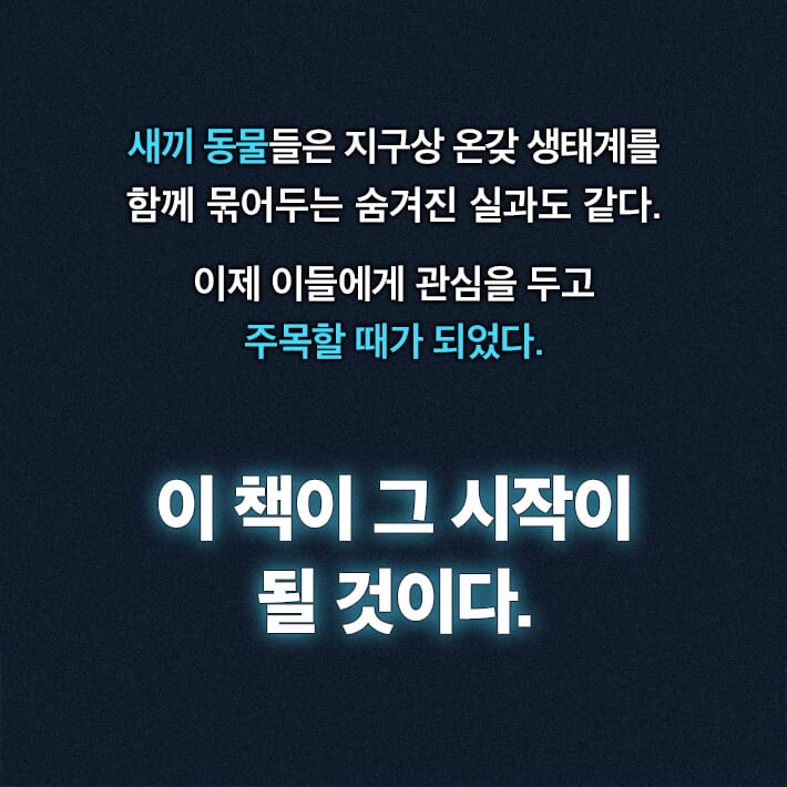 카드뉴스8