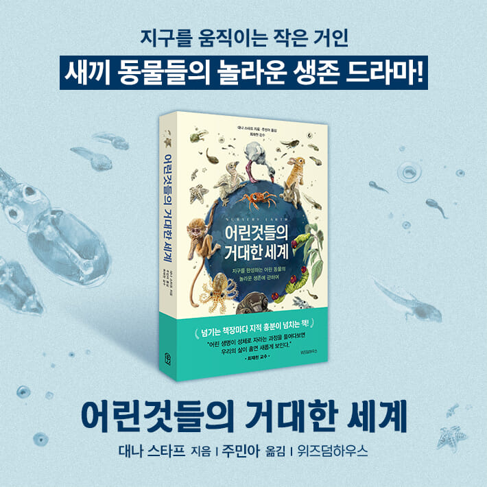 카드뉴스10