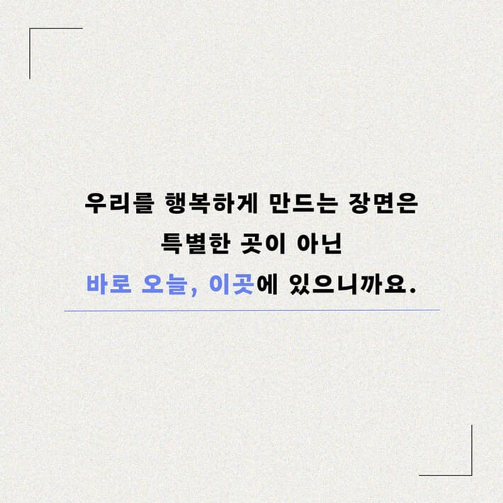 카드뉴스8