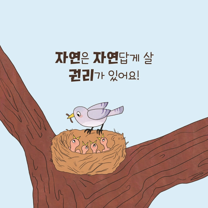 카드뉴스6