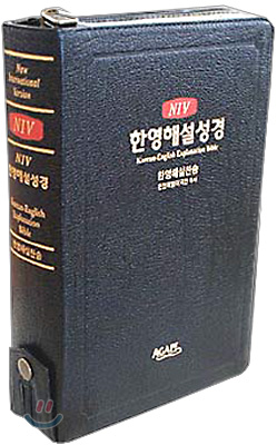 NIV 한영해설성경 한영해설찬송 (대합본,무색인,가죽,합본,가로16*세로23) : NIV 성경단어 영문해설집 포함