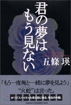 君の夢はもう見ない