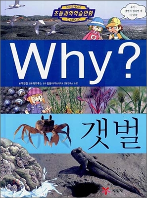 Why? 와이 갯벌