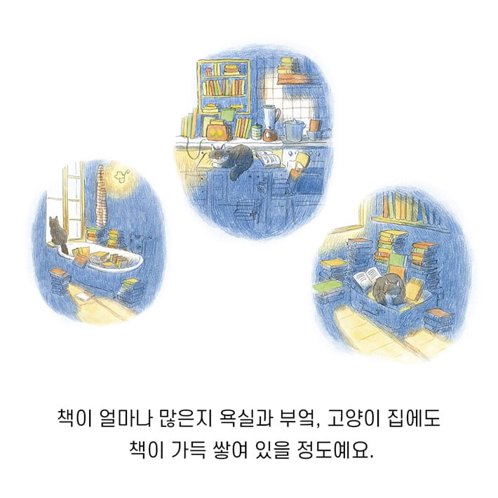 카드뉴스3