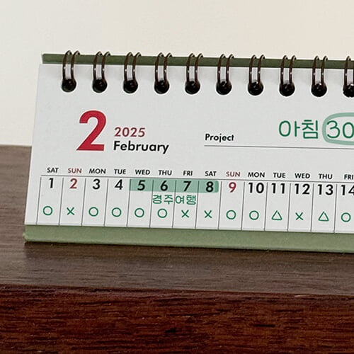 2025 원프로젝트 미니 캘린더