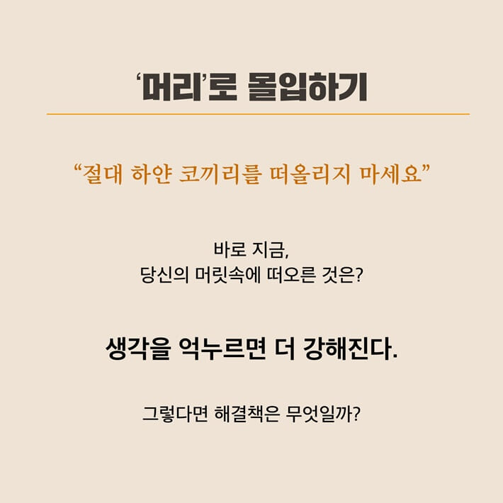 카드뉴스3