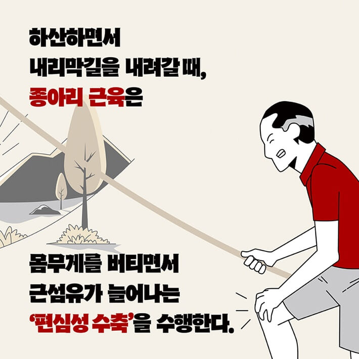 카드뉴스2